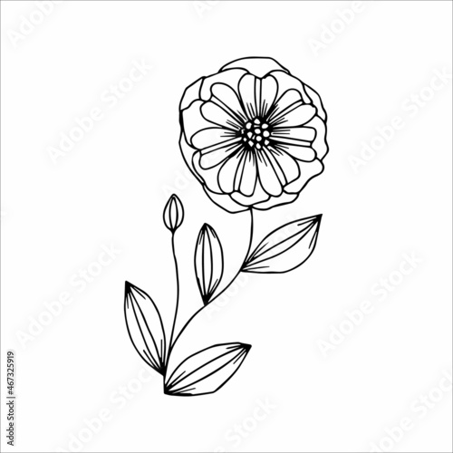 Hand drawn flower single doodle element for coloring  black and white vector image