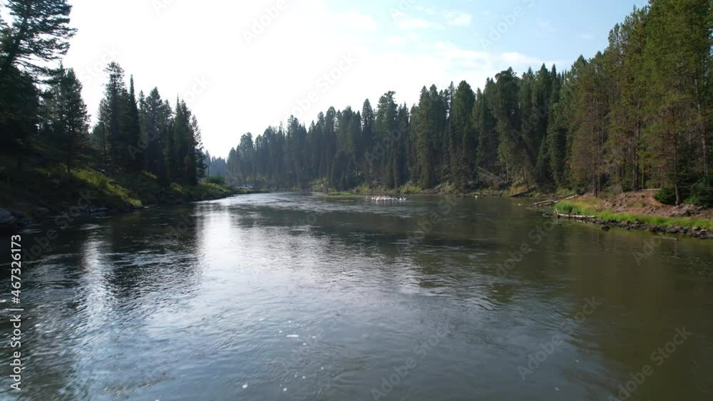 an aerial drone shot of a beautiful river in the moutons with pine trees all around and the drone passes a small group of pelicans an aerial drone shot of a beautiful river in the moutons with pine trees all around and the drone passes a small group of pelicans