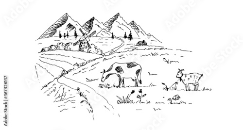 Rural landscape with mountains  alpine meadow  cow  goat. Vector illustration. Sketch.