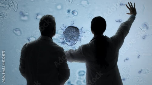 scientist biologist analyzing sperm cells fertilize ovum egg under microscope image,two doctors looking at human fertilization process on a wide screen