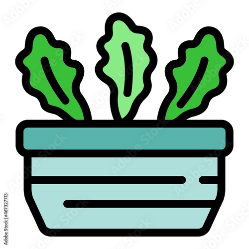 Arugula icon. Outline arugula vector icon color flat isolated
