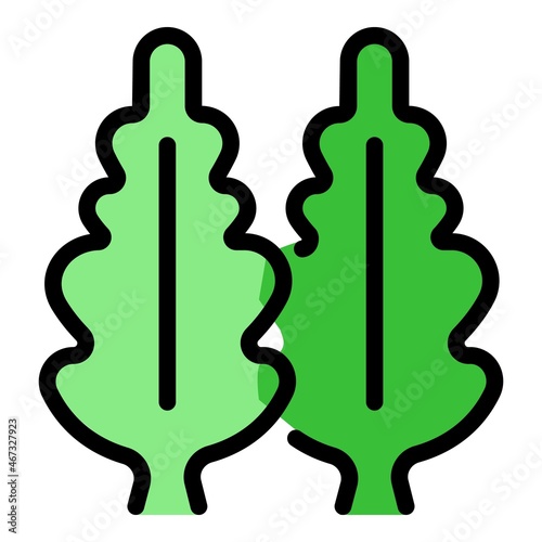 Fresh arugula icon. Outline fresh arugula vector icon color flat isolated