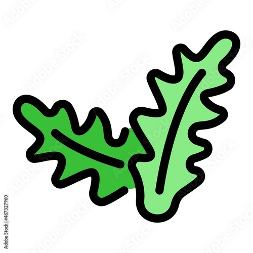 Herb arugula icon. Outline herb arugula vector icon color flat isolated