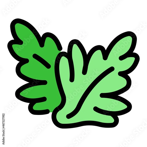 Cooking arugula icon. Outline cooking arugula vector icon color flat isolated
