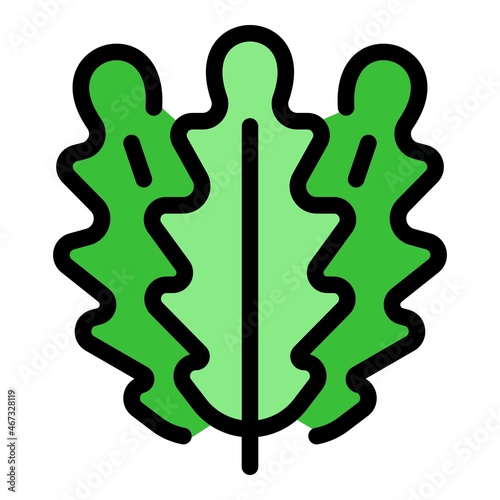 Kitchen arugula icon. Outline kitchen arugula vector icon color flat isolated