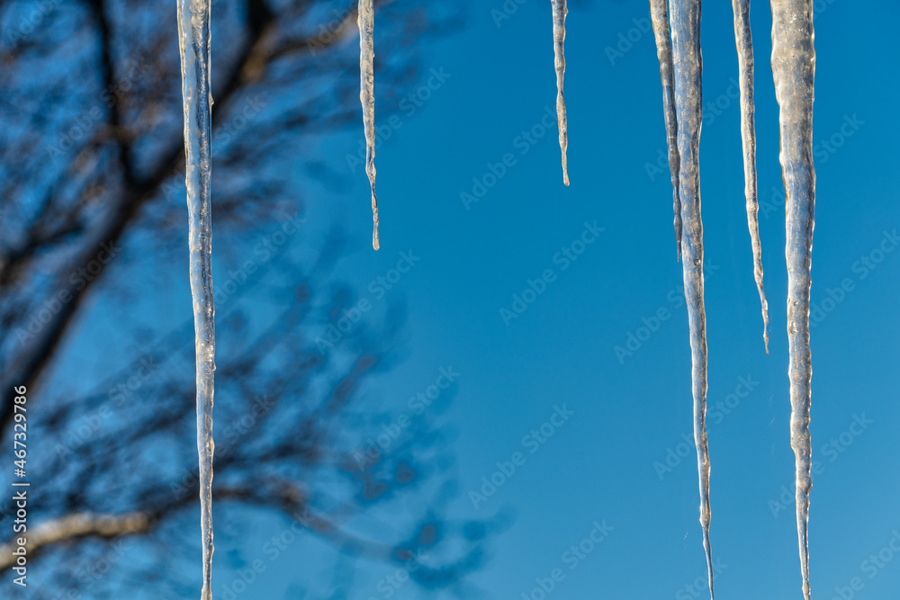 Background of bright transparent icicles on sky background Background of bright transparent icicles on sky background