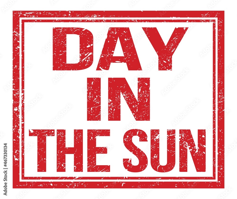 DAY IN THE SUN, text on red grungy stamp sign DAY IN THE SUN, text on red grungy stamp sign