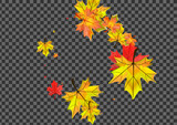 Brown Plant Background Transparent Vector. Leaves Decor Frame. Golden September Floral. Pattern Foliage Card.