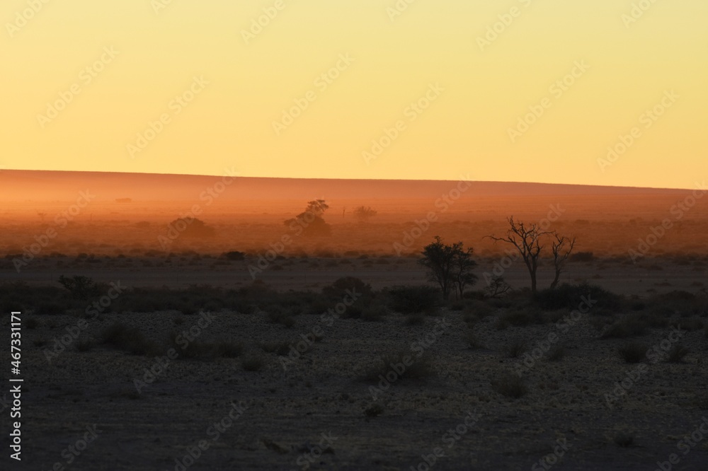 Abendstimmung: die Elimdüne erscheint im Licht der untergehenden Sonne bei Sesriem im Namib-Naukluft Nationalpark. 