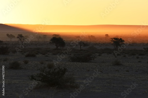 Abendstimmung: die Elimdüne erscheint im Licht der untergehenden Sonne bei Sesriem im Namib-Naukluft Nationalpark. 