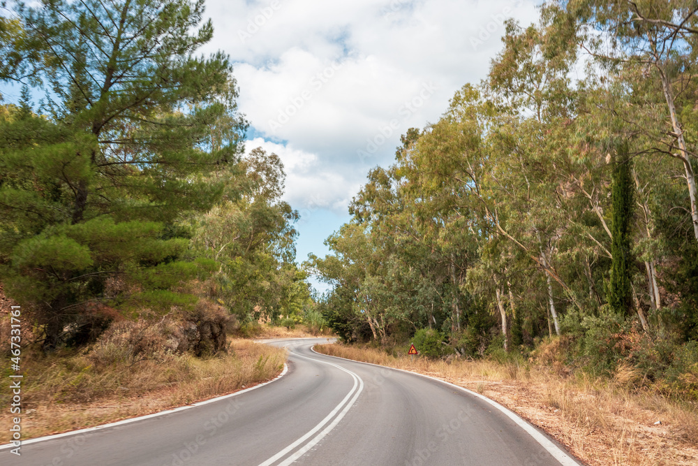 Naklejka premium Driving curvy asphalt road turning in pine and eucalyptus trees with cloudy sky, Lefkada island, Ionian sea coast, Greece. Travel by car