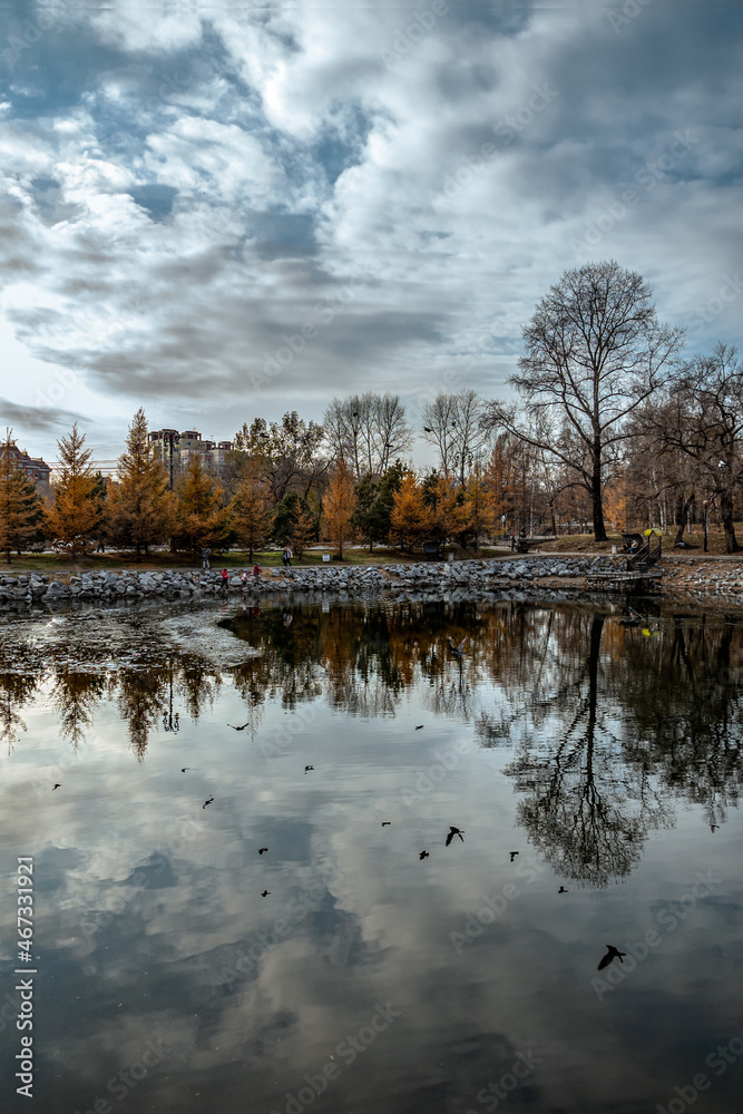 Fototapeta premium An autumn view of public park 