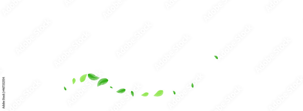 Green Leaves Background White Vector. Leaf Vibrant Texture. Decorative Design. Light Green Food Frame. Vegetation Set.