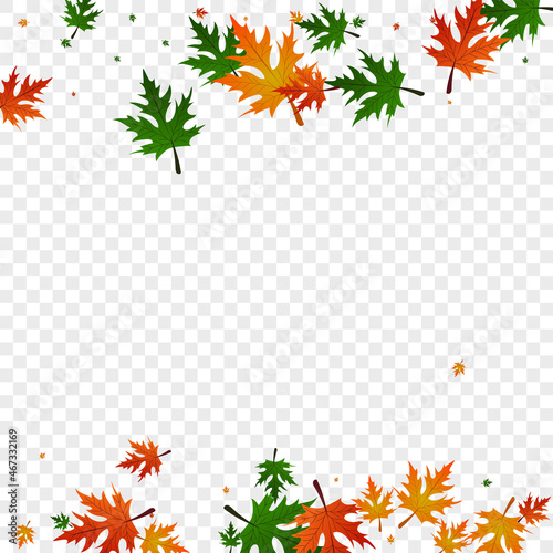 Yellow Maple Background Transparent Vector. Plant Autumn Texture. Golden Celebrate. Beautiful Template. Colorful Leaf Decor.