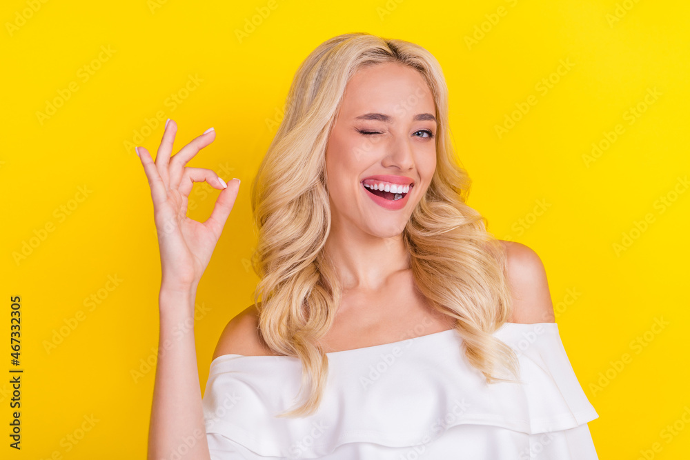 Portrait of attractive cheerful wavy-haired girl showing ok-sign ad advert winking isolated over bright yellow color background Portrait of attractive cheerful wavy-haired girl showing ok-sign ad advert winking isolated over bright yellow color background