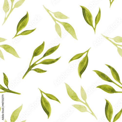 watercolor seamless pattern with green leaves, branches. For decoration and design, printing on paper, fabric, scrapbooking. Boho, rustic, botanical, natural style. Isolated on white background.