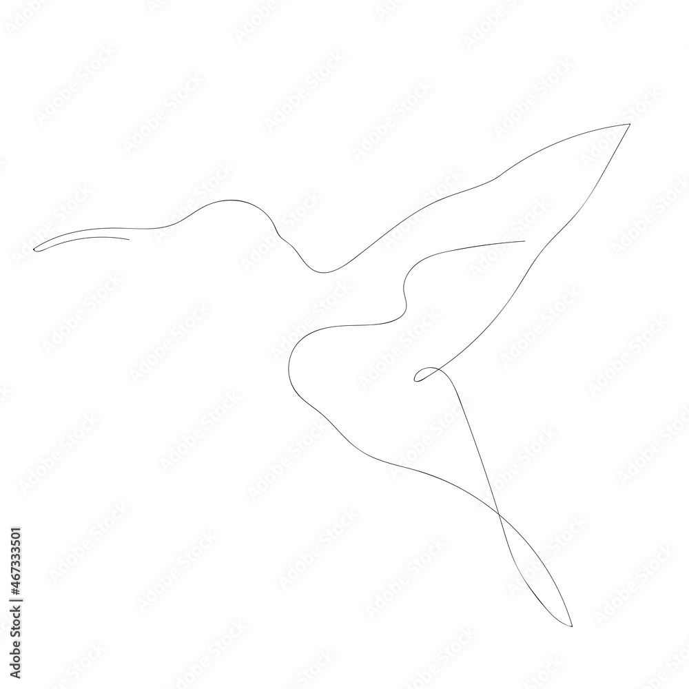 Continuous one line drawing of hummingbird minimalism drawing. Flying bird vector illustration