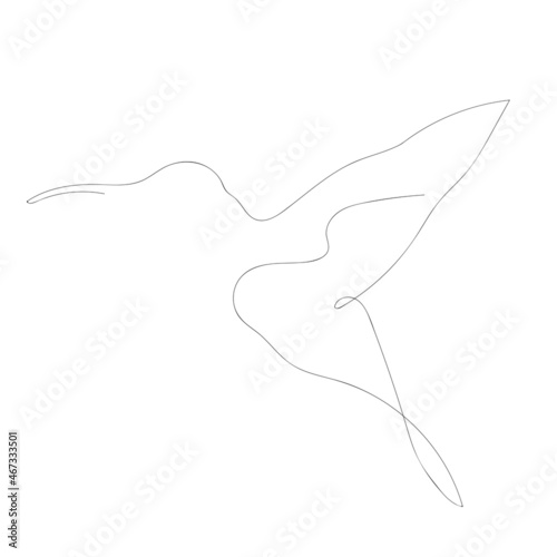 Continuous one line drawing of hummingbird minimalism drawing. Flying bird vector illustration