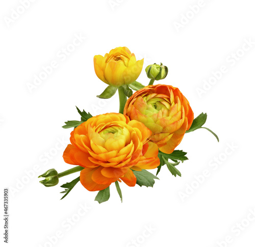 Orange ranunculus flowers in a floral arrangement isolated