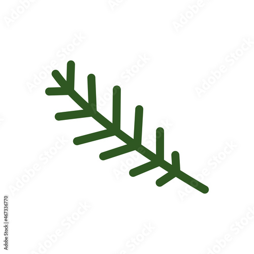 Doodle fir branch. Vector illustration of green spruce twig. Clipart for Christmas and New Year decor. photo