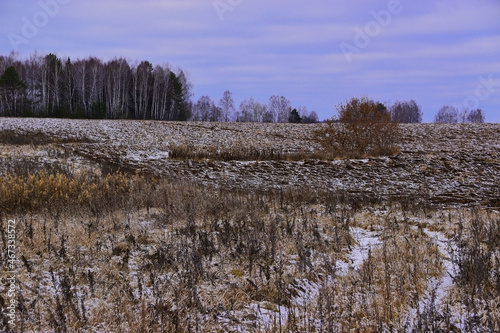 Wallpaper Mural The nature of the Western Urals in late autumn Torontodigital.ca