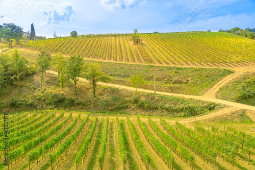 Travel vacation in the vineyard terraces. Panoramic landscape in Montalcino town of Tuscany in Italy. Famous for brunello wine of Montalcino.