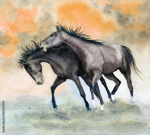 Watercolor illustration of two running playful brown horses on a orange and olive green background 