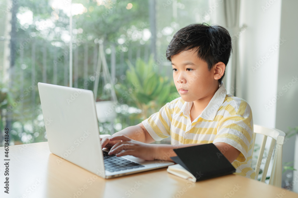 Homeschooling and distance learning for children Homeschooling and distance learning for children
