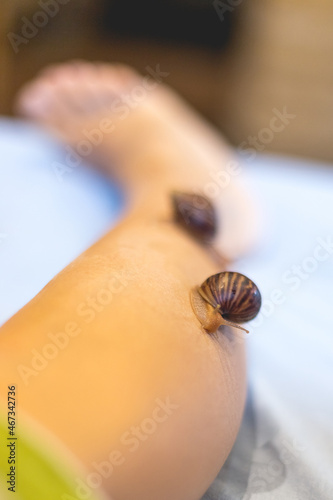 Small Achatina snails crawl on a woman's leg