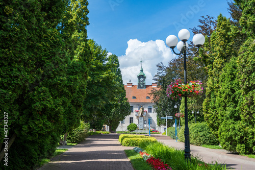 Fototapeta Naklejka Na Ścianę i Meble -  Town hall in the summer park.