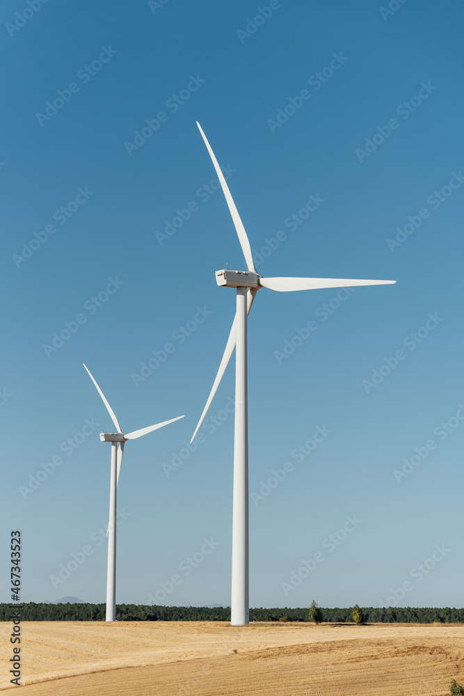 two windmills on a cereal field, with a blue horizon two windmills on a cereal field, with a blue horizon