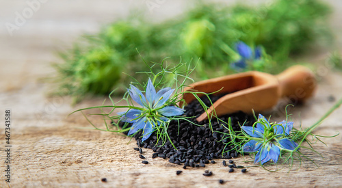Black cumin seeds and flowers. Selective focus. photo