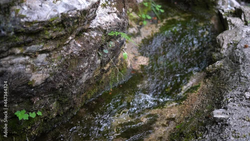 A small stream with water flowing fast between rocks covered moss in forest. A small stream with water flowing fast between rocks covered moss in forest.