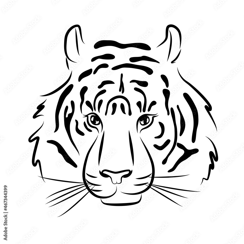 tiger color profile face mammal carnivore portrait vector wild cat  symbol chinese new year 2022