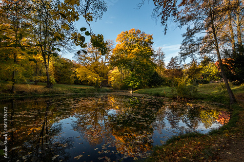 Schlosspark Ilsenburg im Herbst