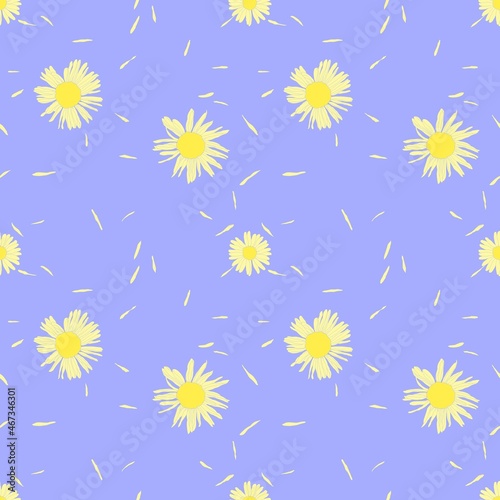 The seamless pattern of daisies on a blue background. Vector