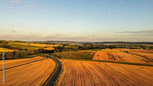 sunset over the field