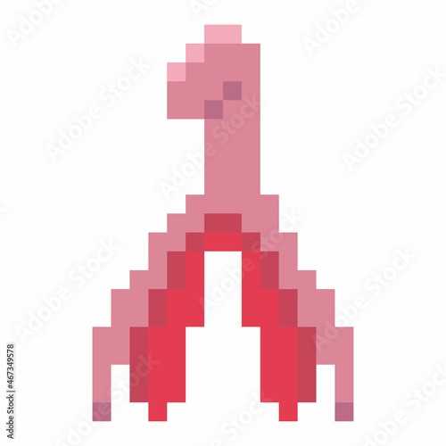 Vector stock graphics image of the female reproductive system and clitoris. Hand-drawn illustration isolated on white background in 32-bit pixel style. Flat icon symbol of feminism, orgasm and woman