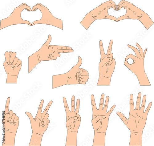 Set of hands showing various gestures and symbols. Flat illustration of female and male hands. Isolated. Vector