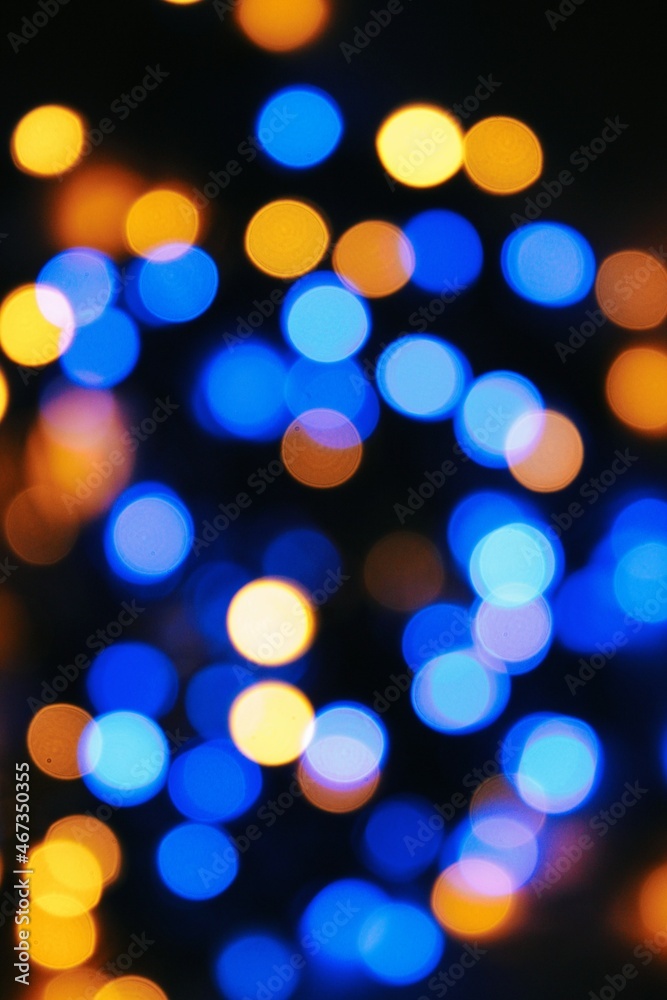 Luz Luz
