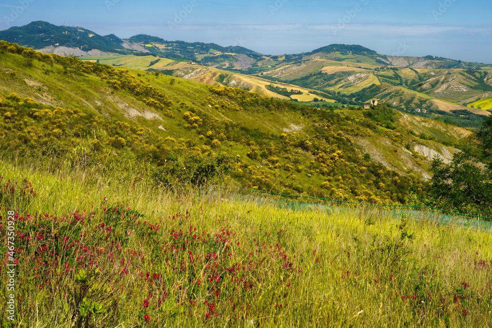 Rural landscape on the hills near Imola and Riolo Terme