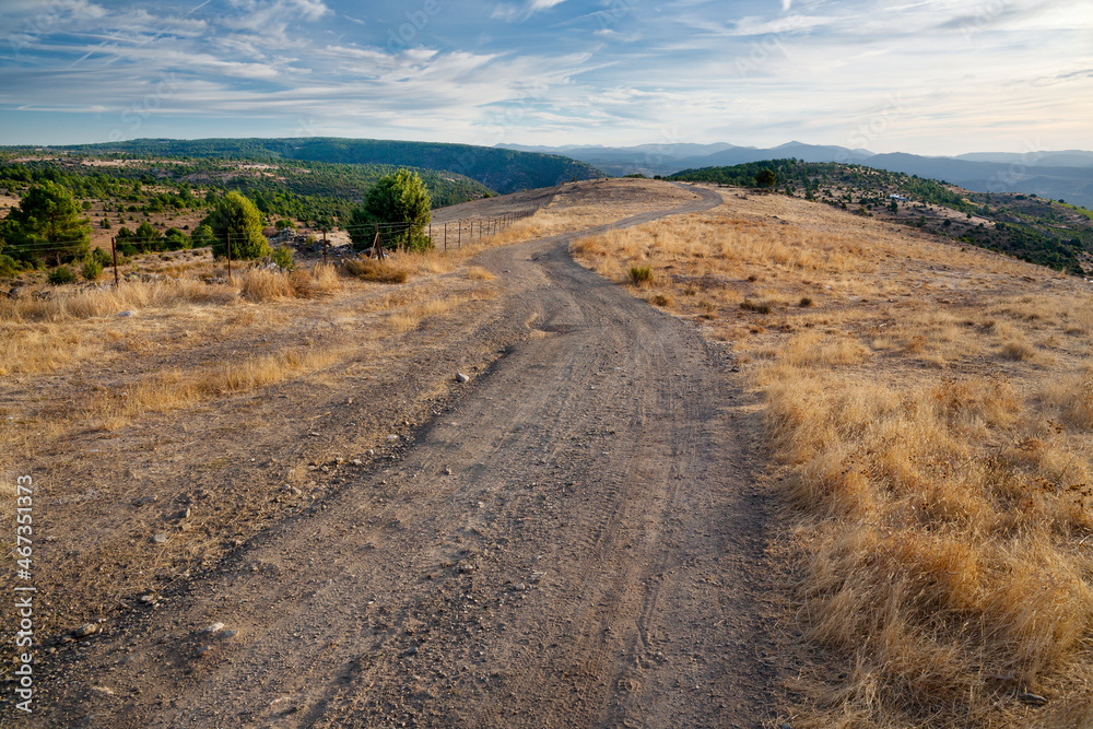 Camino del cerro Merina. Avila. España. Europa.