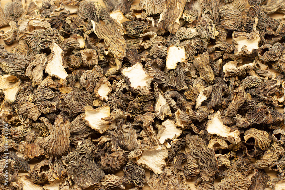 Many dried Verpa bohemica mushrooms lie on the table, laid out in a thin layer. The first spring mushrooms are ready for use for cooking. High quality photo Many dried Verpa bohemica mushrooms lie on the table, laid out in a thin layer. The first spring mushrooms are ready for use for cooking. High quality photo