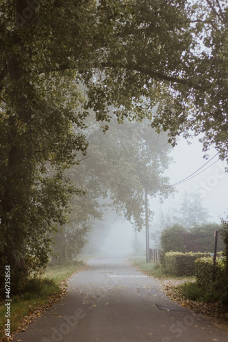 Road in the mist