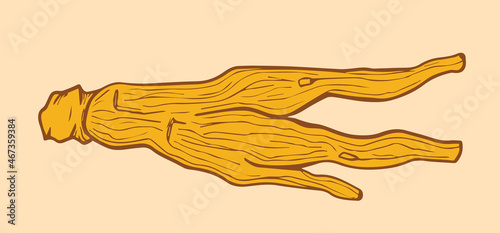 Red korean dried ginseng illustration. Vector illustration