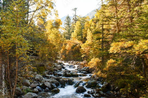 view of an autumn forest landscape crossed by a river in Andorra