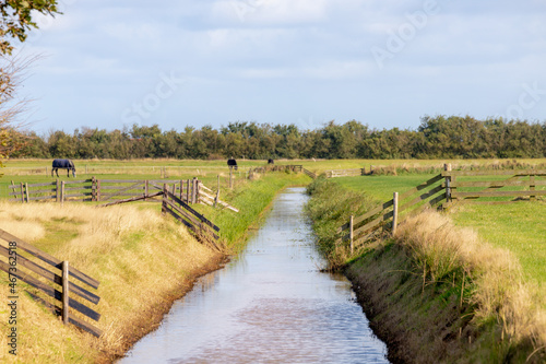 Obraz na plátně Countryside landscape with flat and low land under blue sky and white clouds, Typical Dutch polder with green meadow, Small canal or ditch and wooden fence, Texel Island, Noord Holland, Netherlands