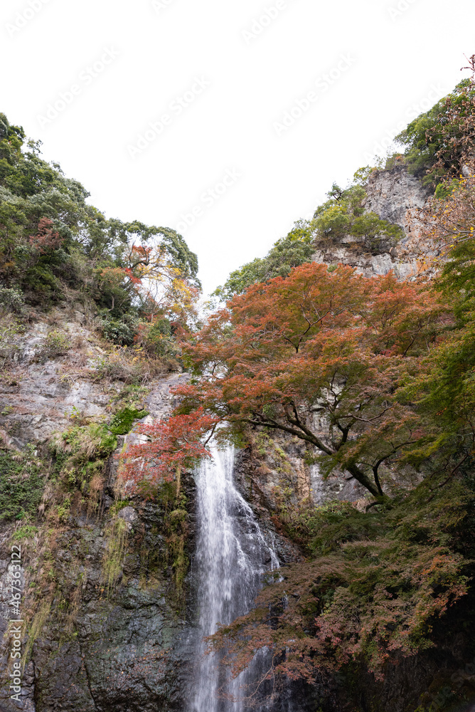 紅葉