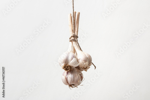 The bundle of garlic on a white background. Free space for text