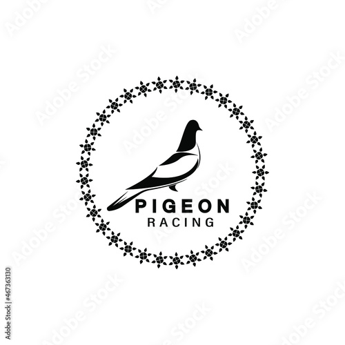 Pigeon bird logo design vector